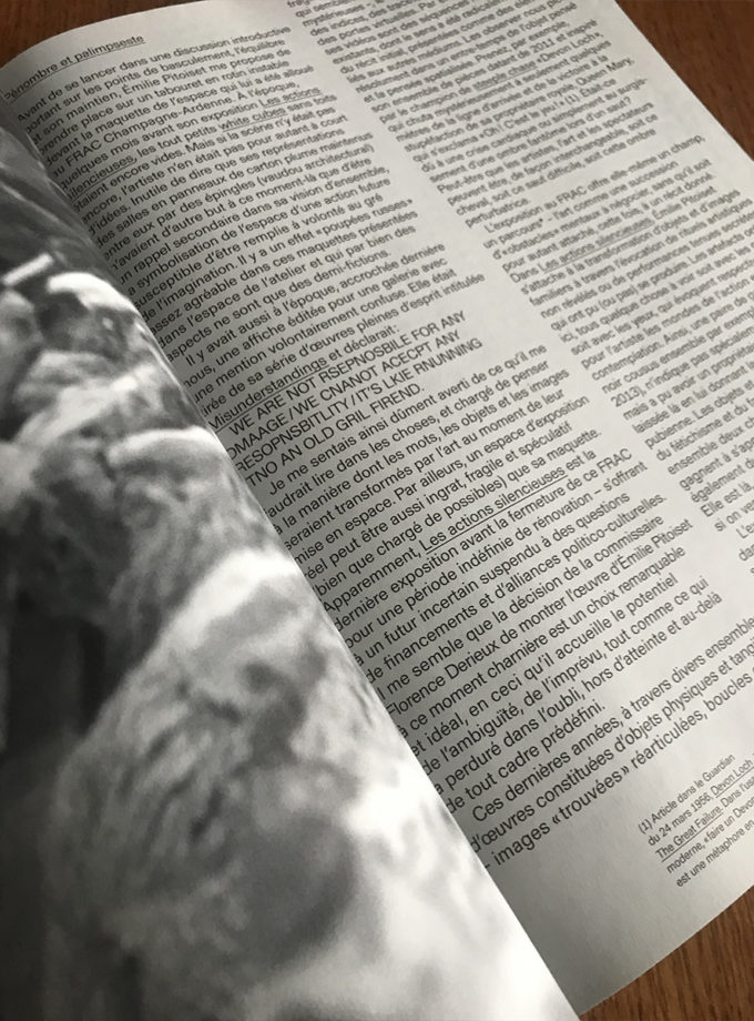 Emilie Pitoiset - monographie (catalogue)