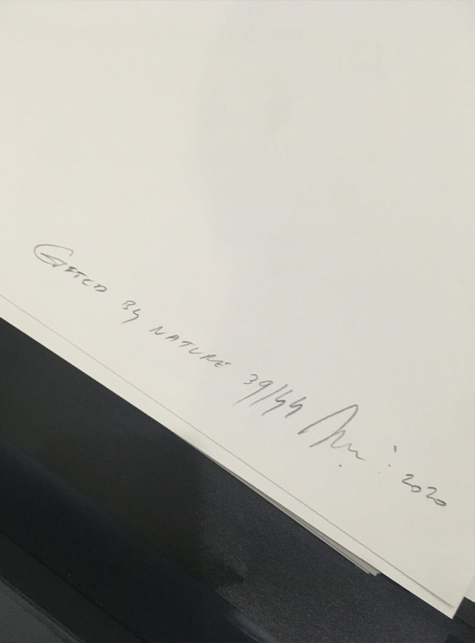 David Evrard – Gifted by Nature (affiche)